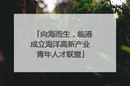 向海而生，临港成立海洋高新产业青年人才联盟